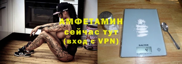 молекула духа Козловка