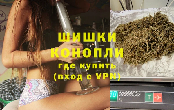 МДПВ Бердск