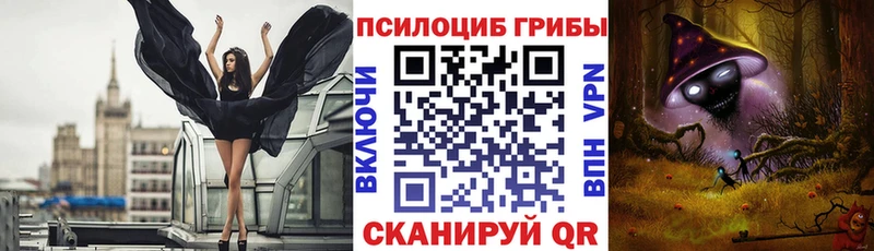 Псилоцибиновые грибы Cubensis  Медвежьегорск 